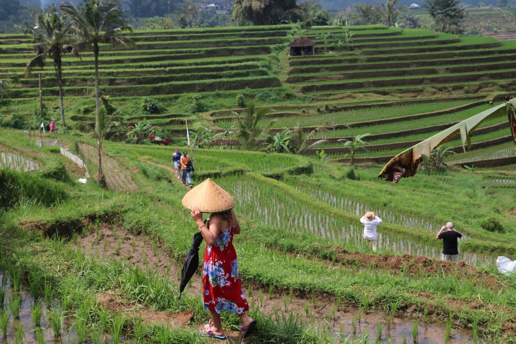 Off The Beaten Track Bali With Kids Off The Beaten Track Bali With Kids