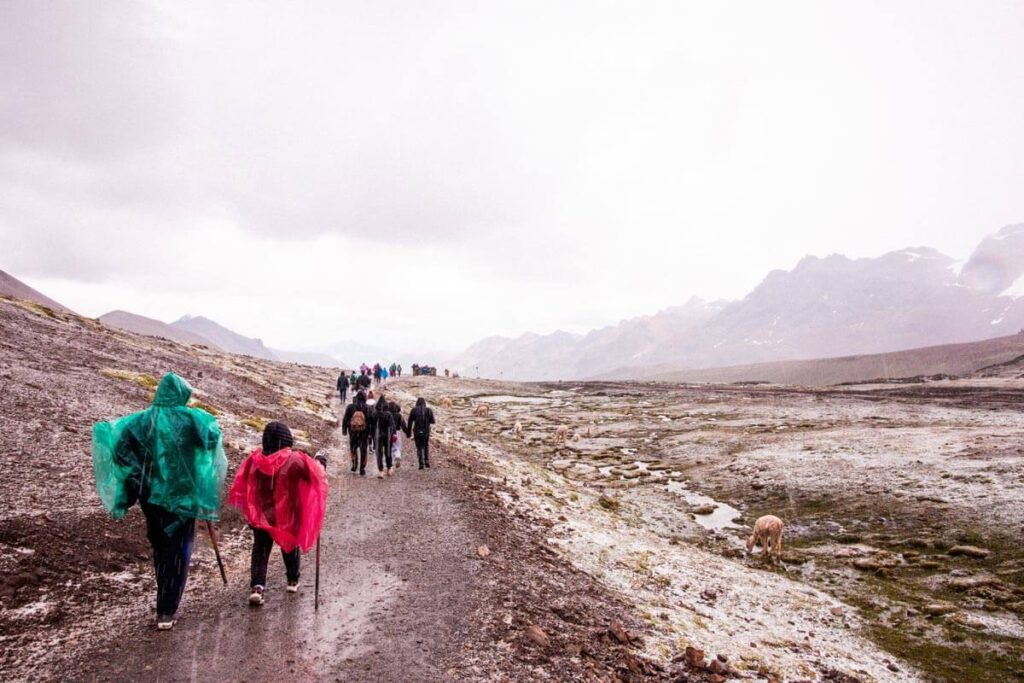 people in rain ponchos walking along a trail
