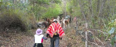 best peru family travel itinerary