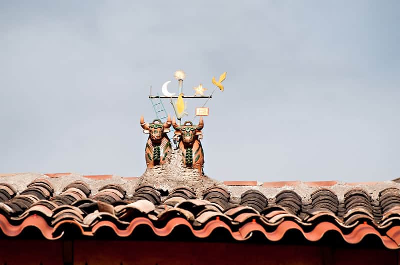 bulls on rooftop in cusco, peru