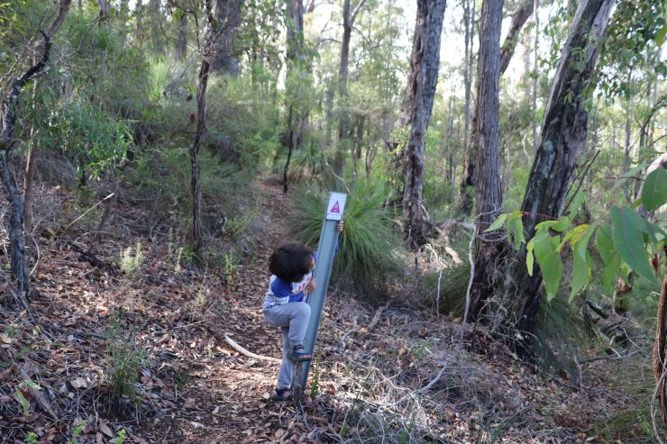 Hiking With Kids - 8 Tips