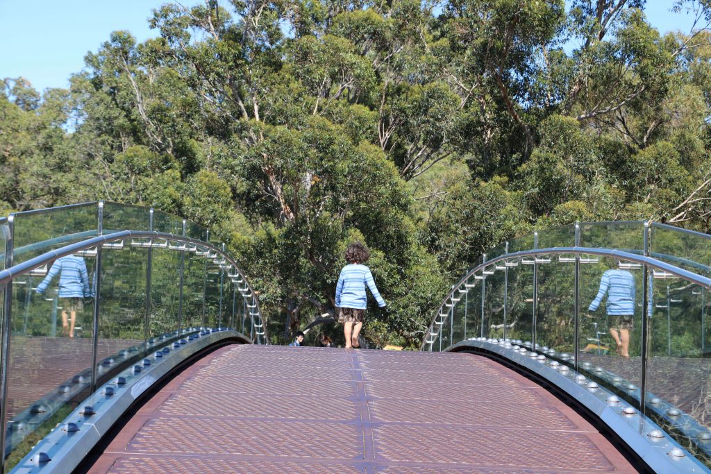 Best Of Western Australia Itinerary For Families