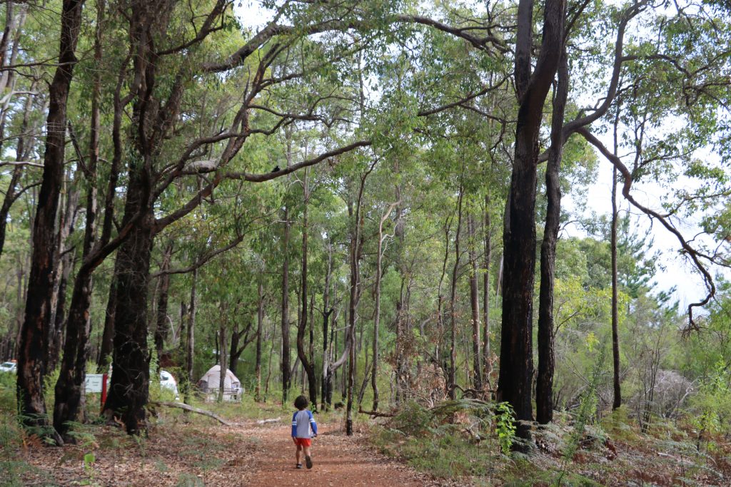 Go glamping - 12 Awesome Ways to Enjoy an Educational Family Vacation Potters Gorge, Wellington National Park, Glamping Western Australia