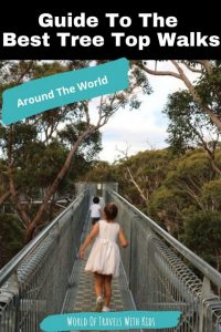 The Best Tree Top Walks around the World