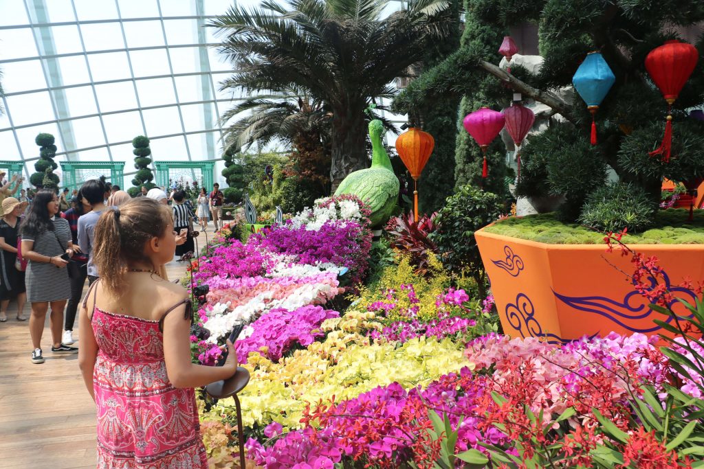childrens garden by the bay childrens garden by the bay