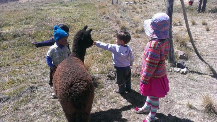 Top Tips for Hiking with Kids in Peru - Ace Family Hikes