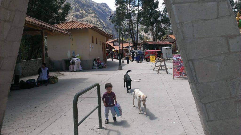 acclimatizing in Peru with kids, climbing Machu Picchu with toddler or baby, boy in Ollantaytambo