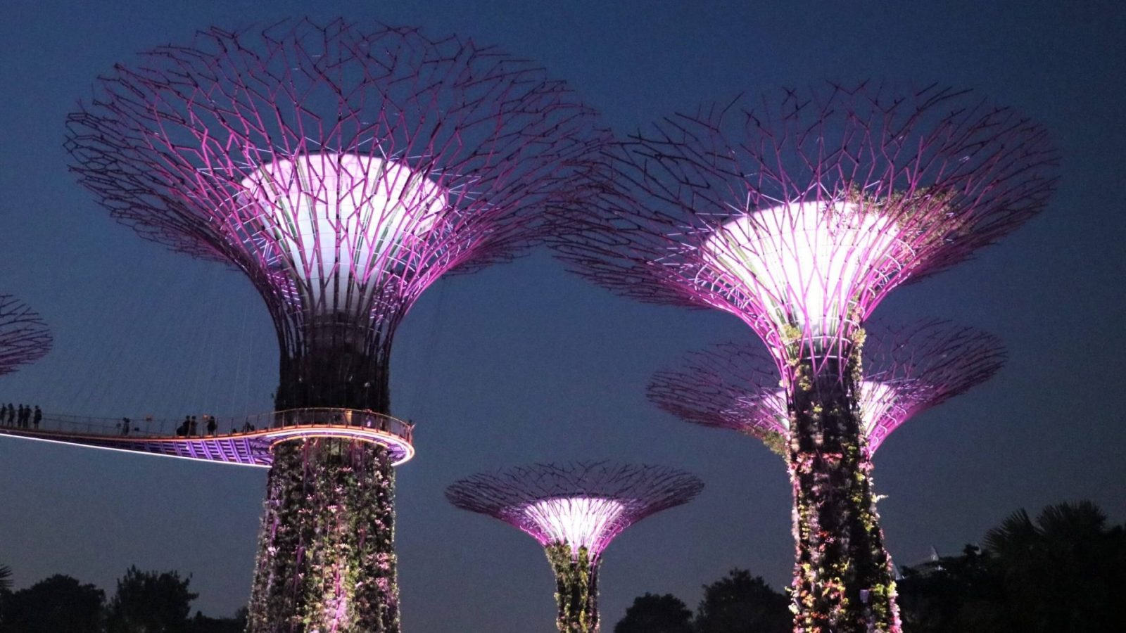 Best Singapore Hotels For Families A World of Travels with Kids