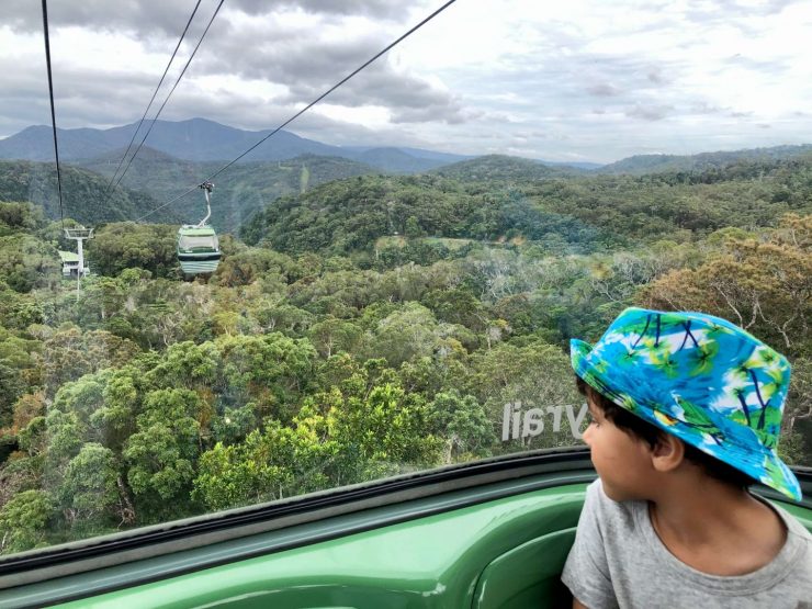best day trips from cairns
