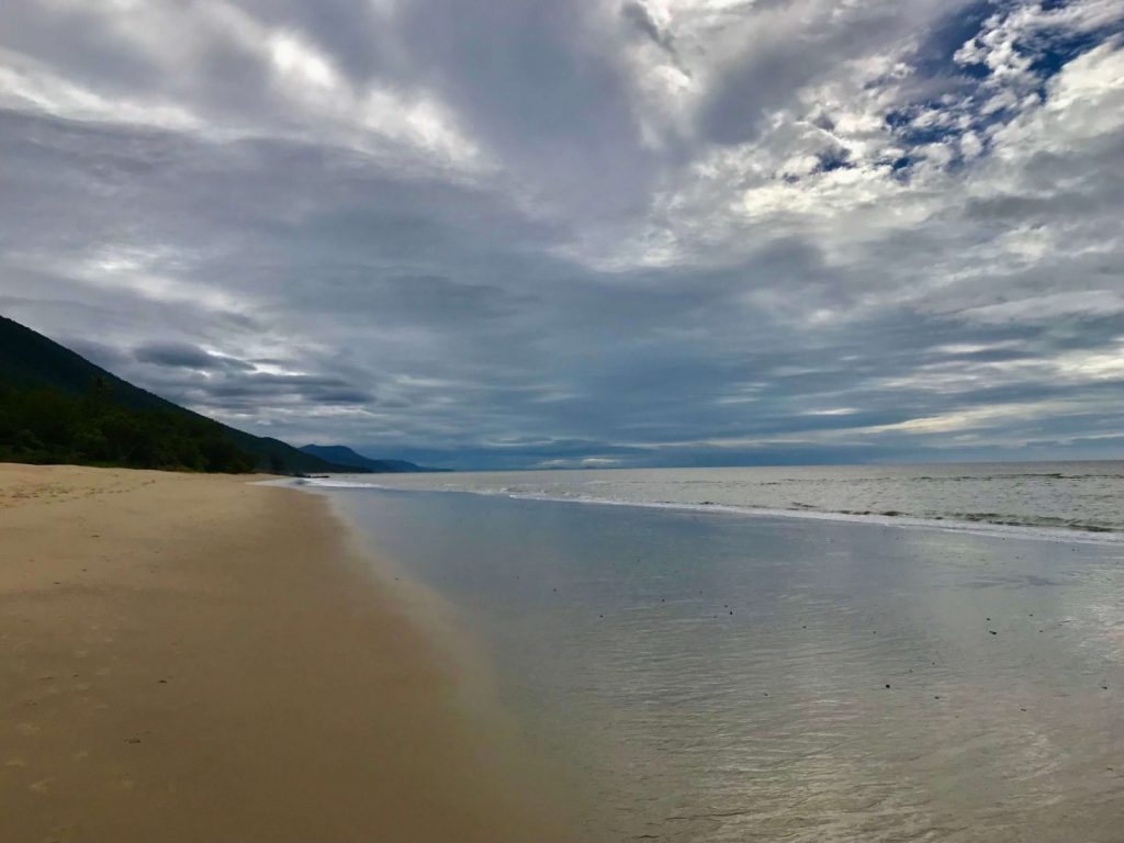 Stinger Season Cairns Stinger Season Cairns