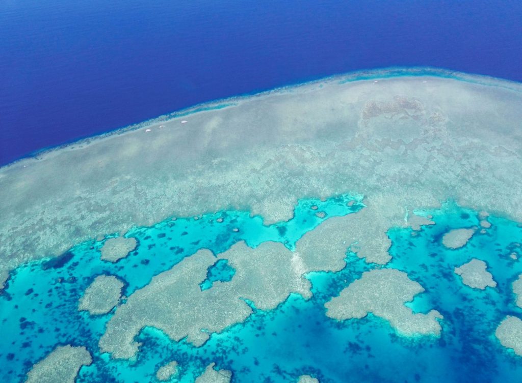 Great Barrier Reef Experiences Great Barrier Reef Experiences