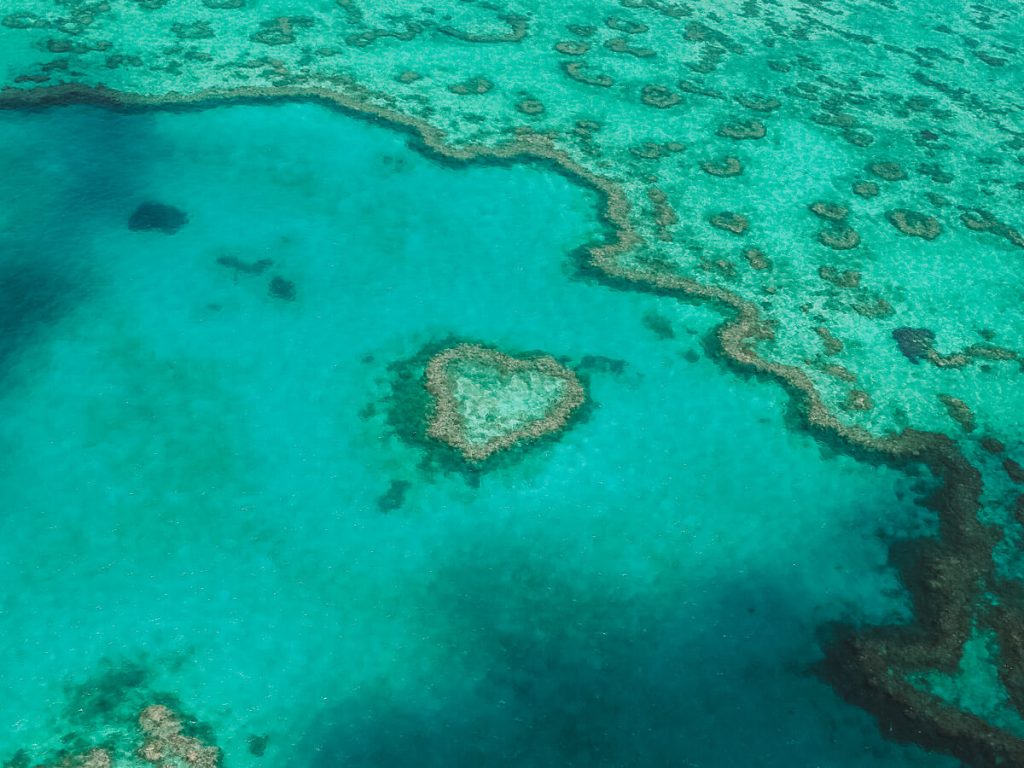 Great Barrier Reef Experiences Great Barrier Reef Experiences