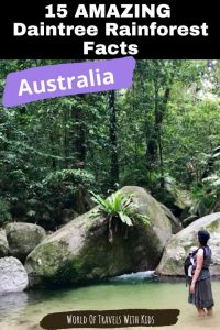 15 AMAZING Daintree Rainforest Facts Get Ready to be Wowed 1