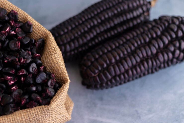 Beautiful Peruvian Black Corn, Peru Food