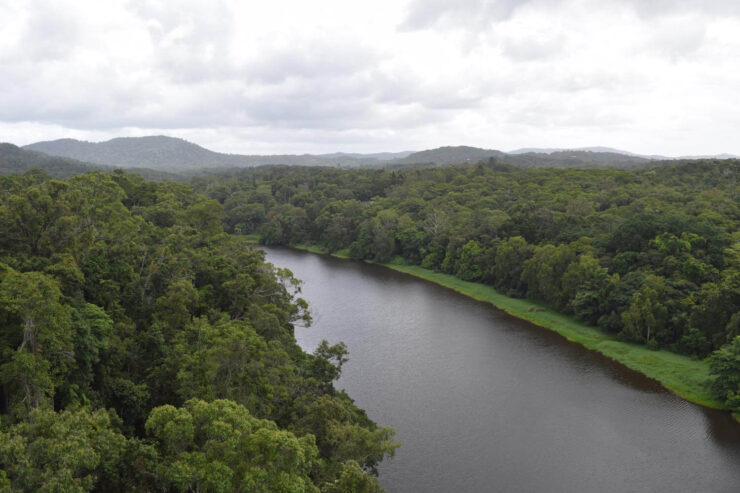 Skyrail Rainforest Cableway - Skyrail Kuranda