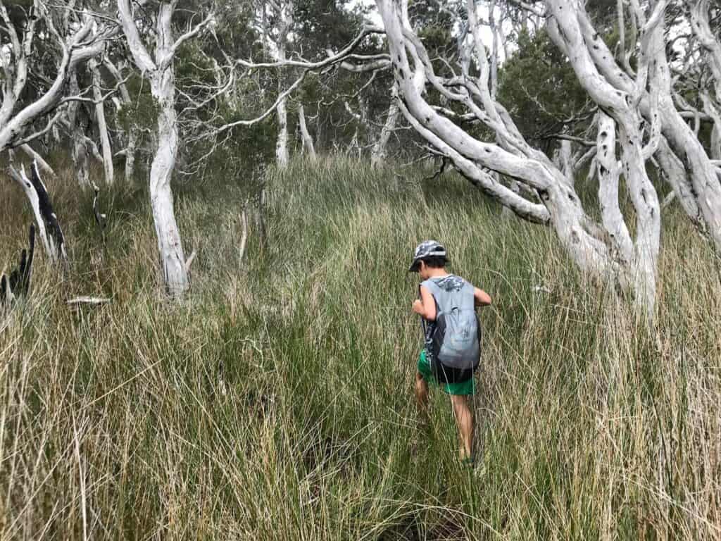 The Best Hiking Backpacks for Kids The Best Hiking Backpacks for Kids