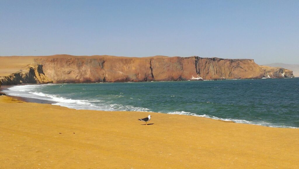 peruvian coast