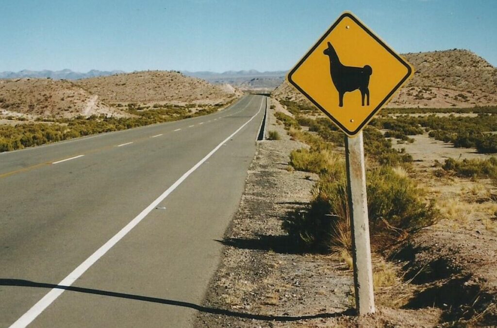 Llama Sign, Interesting Facts about Bolivia Llama Sign, Interesting Facts about Bolivia