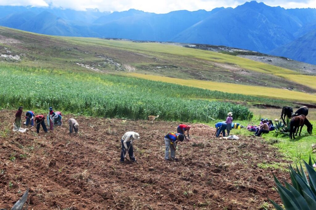 Farmers in Peru, Sacred Valley Peru farms, Things to see in the Sacred Valley Farmers in Peru, Sacred Valley Peru farms, Things to see in the Sacred Valley