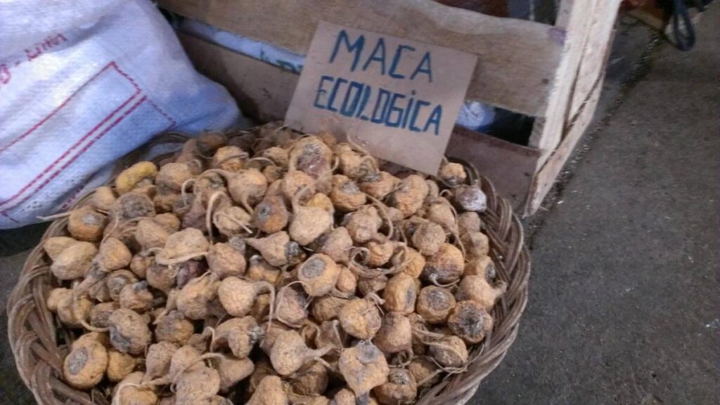 Maca Peru Food Maca Peru Food