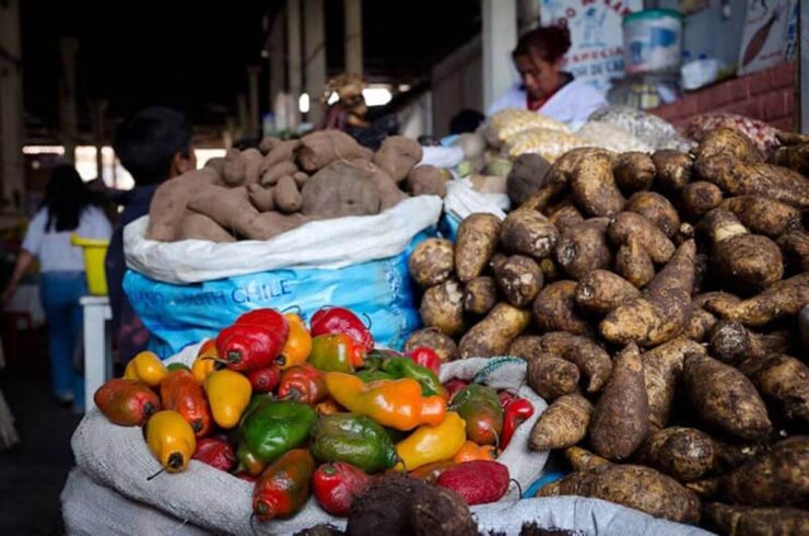 Facts about Peruvian Food, Potatoes in Peru