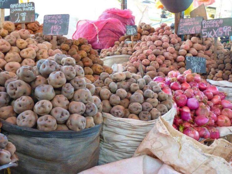 Facts about Peruvian Food, Potatoes in Peru
