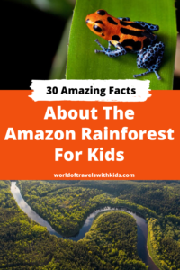 30 Amazing Facts About the Amazon Rainforest for Kids 1