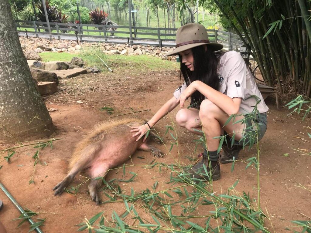 Capybara Facts for Kids, Capybara with trainer Capybara Facts for Kids