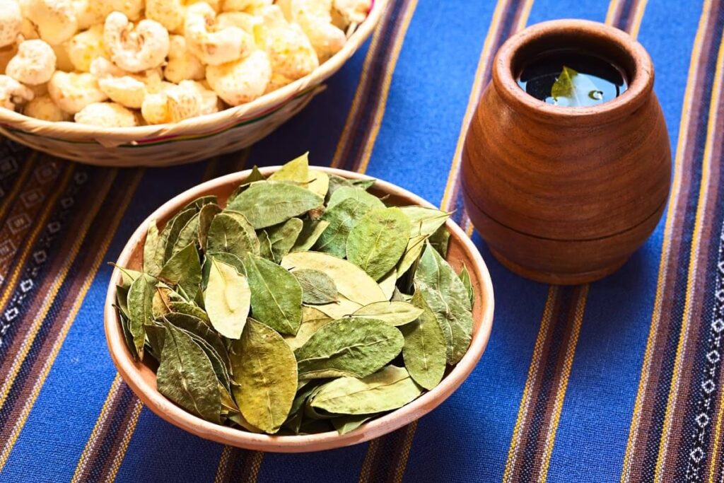 coca leaves and cup of coca tea