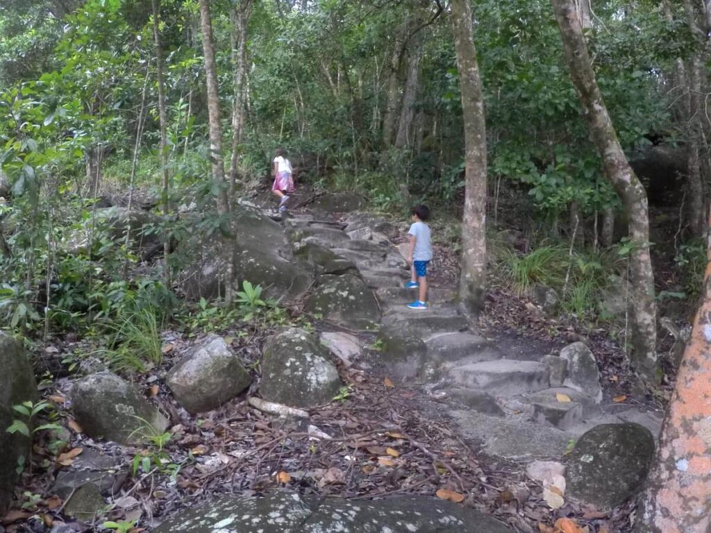 Fitzroy Island Australia walks, what to do at Fitzroy Island Fitzroy Island Australia walks, what to do at Fitzroy Island