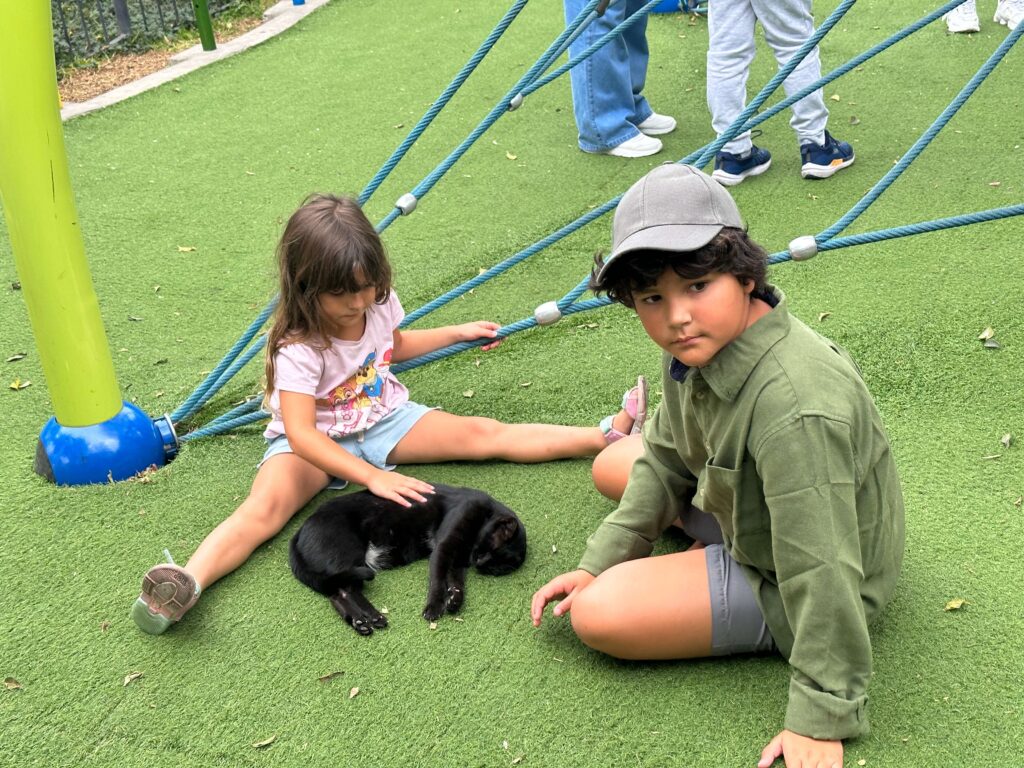 Kids sitting on the ground with a cat in Kennedy Park