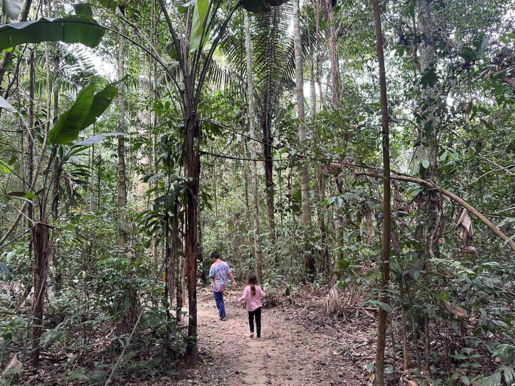 walk in jungle