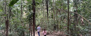 peruvian amazon