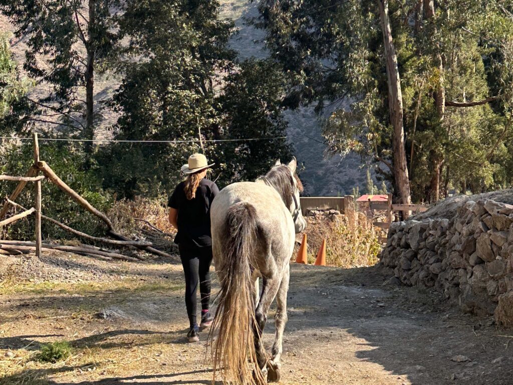 horseback riding in peru