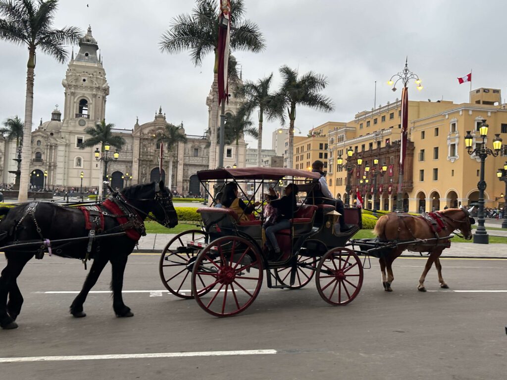Horses with a carriage in the center of Lima