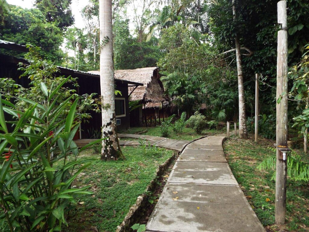 Ceiba Tops Lodge, by Explorama