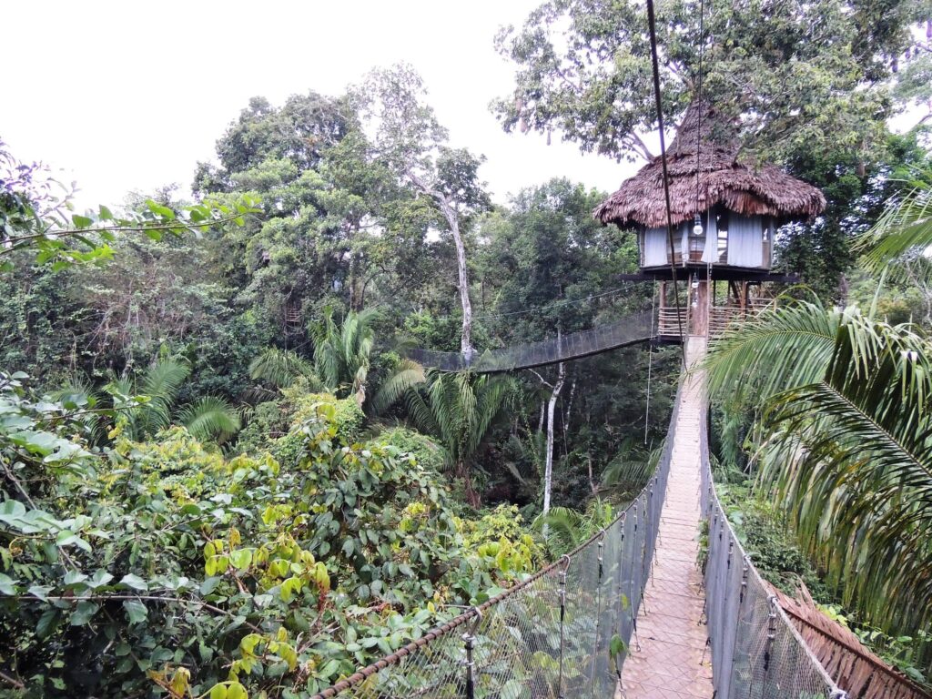 Treehouse Lodge (Unique Stay)